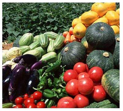 重慶市萬州區(qū)人大代表 蒞臨百安港農(nóng)產(chǎn)品批發(fā)市場視察