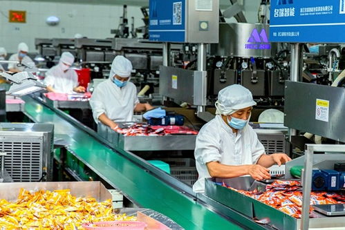 從 會海突圍 到 服務(wù)上岸 北碚以高質(zhì)量黨建統(tǒng)領(lǐng)改革與發(fā)展